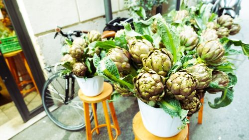 I NOSTRI DIAMANTI, I CARCIOFI